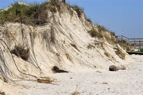 Beach Erosion Florida Coastline Free Stock Photo - Public Domain Pictures