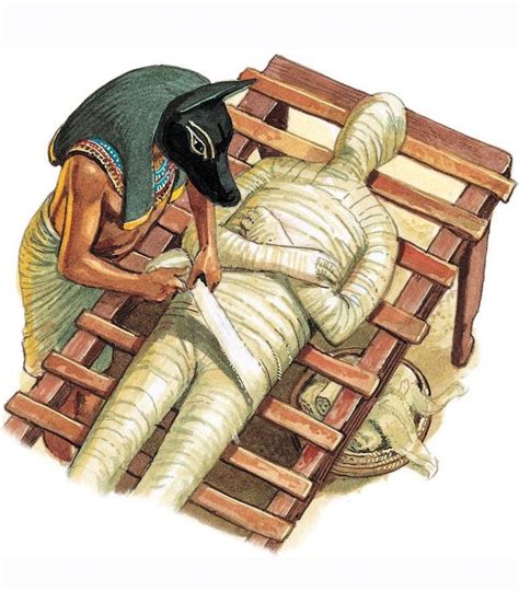 Pin On Egyptian Mummies
