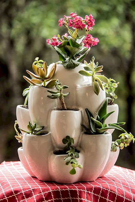 10 Succulents In Cute Pots Decoomo