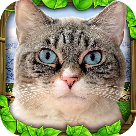 Stray Cat Simulator Appstore For Android