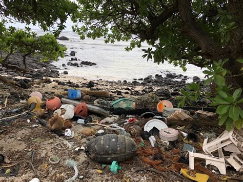 Kamilo Beach Coastline Trash Removal