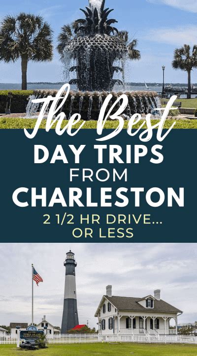 15 Of The Best Day Trips From Charleston Sc Edisto Island Tybee Island