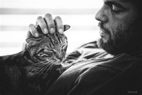 photos of men and their cats that shatter the cat lady stereotype business insider pretty