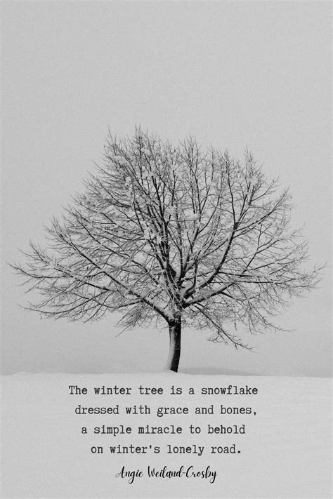 Winter Quotes And Snow Quotes To Make Your Soul Sparkle Winter Quotes