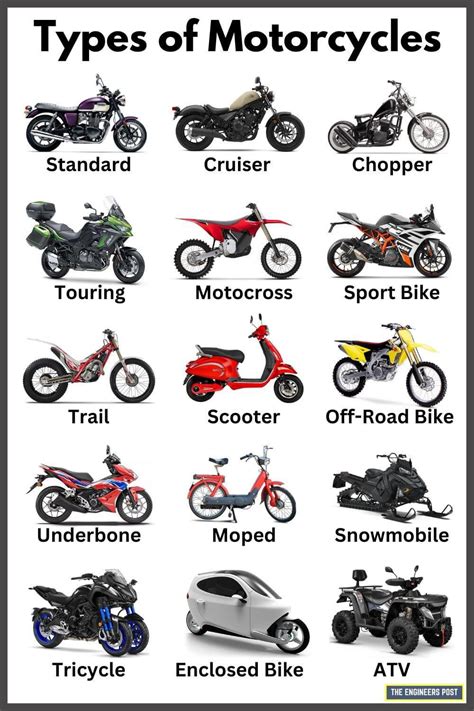 15 types of motorcycles know your options daily infographic