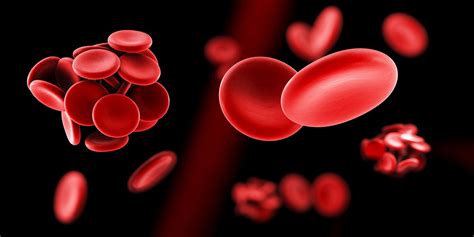 Tall Men And Women At Risk For Deadly Blood Clots