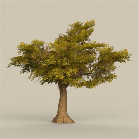 Game Ready Tree 16 3d Model In Tree 3dexport