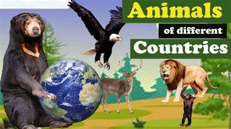 National Animals Of Different Countries National Animal Of All