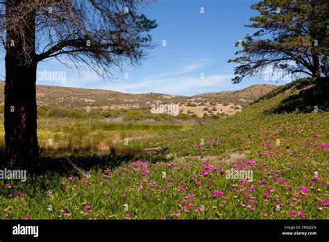 Estancia El Pedral Patagonia Argentina Stock Photo Alamy