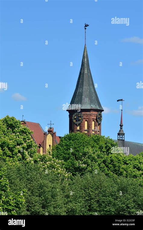 Koenigsberg Cathedral On The Kneiphof Island Symbol Of Kaliningrad