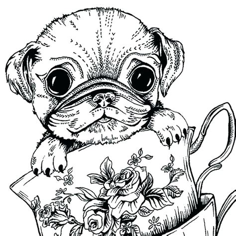 Cute Pug Coloring Pages At Free Printable Colorings