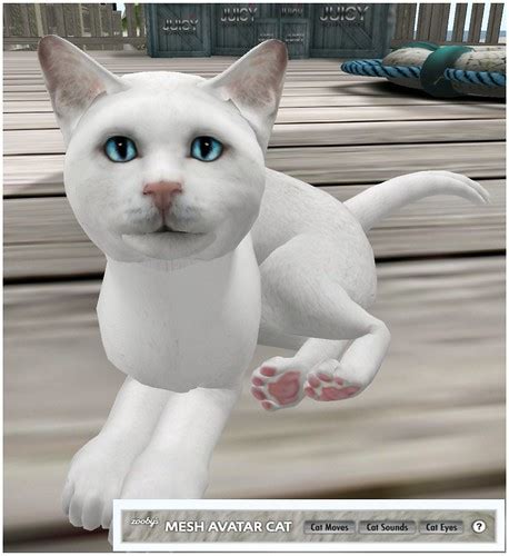 Zooby Mesh Cat Avatar Juicybomb Second Life Blog