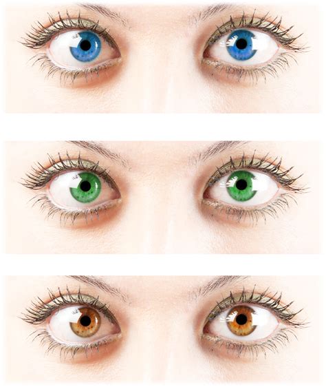 heredity traits eye color