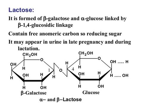 Why Sucrose Is Not A Reducing Sugar E In Kj Mol C12h22o11 For The