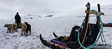 Dog Sledding In Svalbard Norway In The Know Traveler