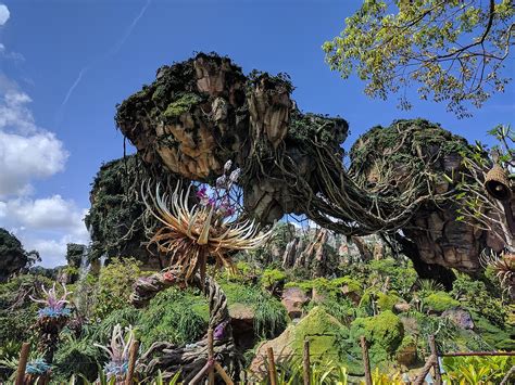 Six years in the making, avatar land is the most breathtaking and immersive addition that disney has ever. Pandora - The World of Avatar - Wikipedia