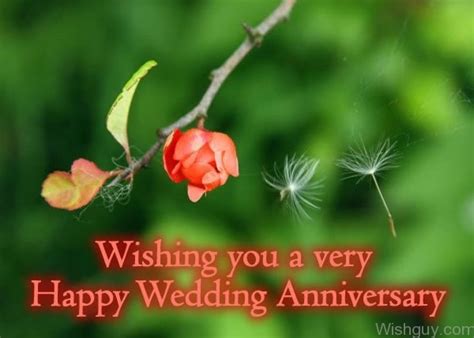 Anniversary Wishes For A Couple Wishes Greetings Pictures Wish Guy
