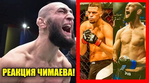 СРОЧНО Хамзат Чимаев Нейт Диаз БОЙ на UFC РЕАКЦИЯ Хамзата