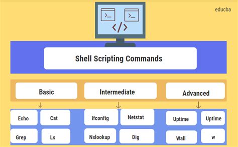 Shell Scripting Commands Basic To Advanced Commands With Example