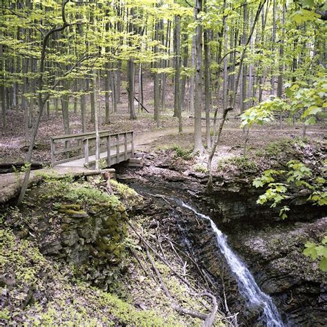 Bruce Trail Hiking Trails Country Roads Trail