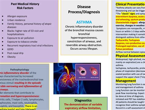 Asthma Concept Map