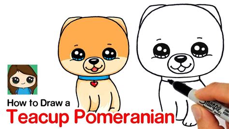 How To Draw A Pomeranian Boo Worlds Cutest Dog Youtube Cute