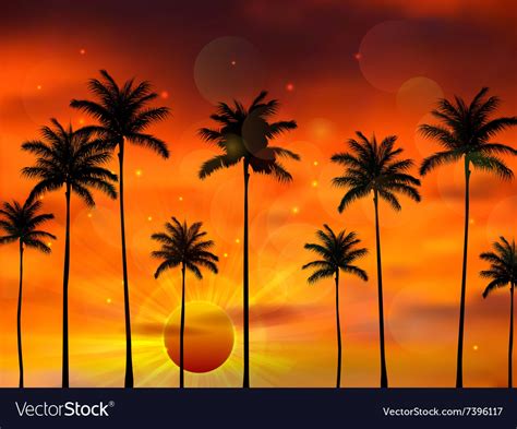 Silhouette Palm Tree When Of Sunset Royalty Free Vector