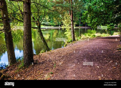 Mallards Pike In The Forest Of Dean Gloucestershire Stock Photo Alamy