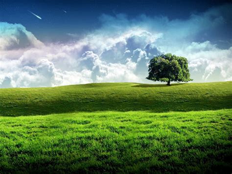 X Tree Grass Sky Clouds Wallpaper Coolwallpapers Me