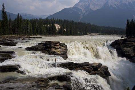 Download Nature Forest River Canada Jasper National Park Waterfall