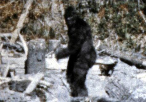 Bigfoot Is Part Human Who Had Sex With Human Females 15000 Years Ago