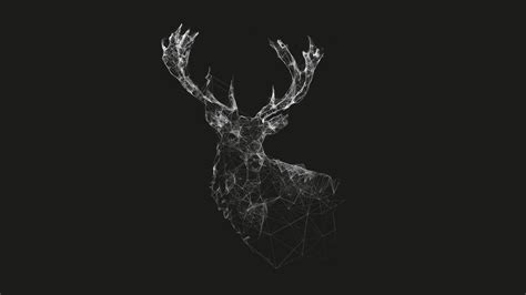 Minimalist Deer Hd Wallpaper