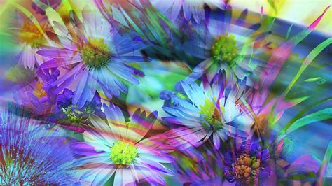 3840x2160 Spring Flowers Abstract 4k Hd 4k Wallpapers