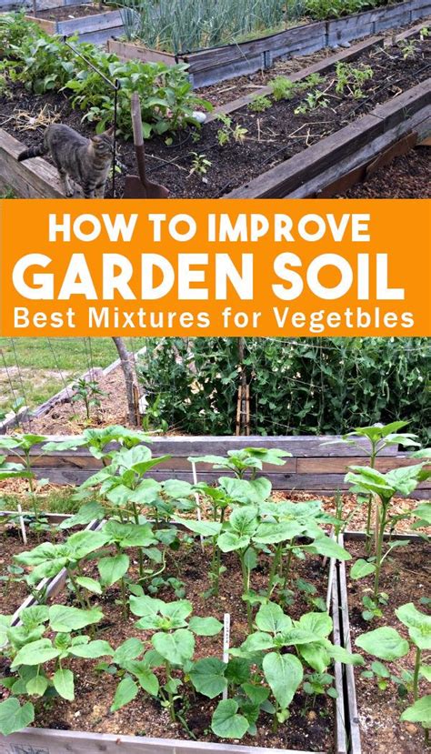 Fertile, well drained soil is necessary for a successful garden. Soil Makes a Difference for a Healthy Garden in 2020 ...