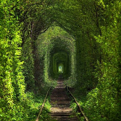 Tunnel Of Love Ukraine Wonderful Places Great Places Places To See