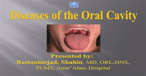 Oral Cavity Lips Tongue Floor Of Mouth Buccal Mucosa Palate Retromolar