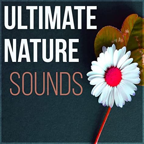 Ultimate Nature Sounds Massage Therapy Piano Music And Sounds Of Nature Music For Relaxation