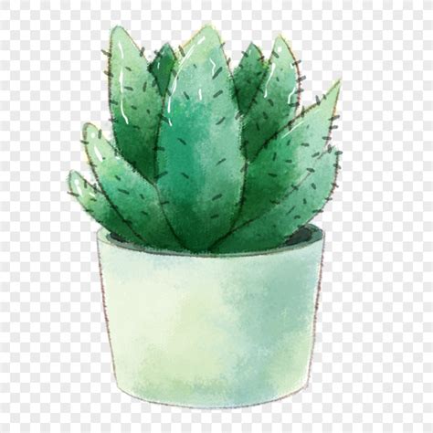 Watercolor Cactus Plants In Potted Plants PNG Picture And Clipart Image For Free Download