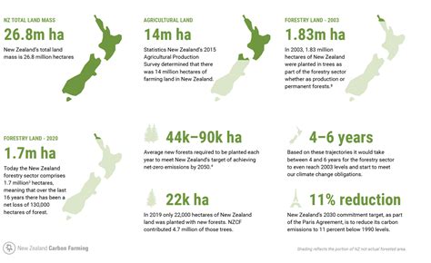 Nz Forestry The Numbers Nz Carbon Farming