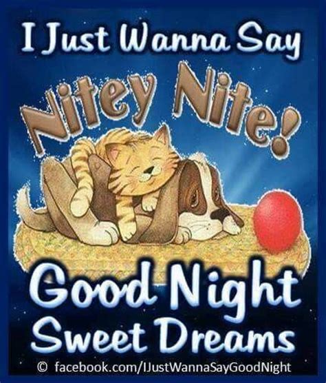 Nitey Nite Kitty And Puppy Good Night Cat Cute Good Night Good Night