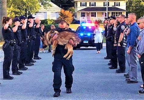 El Homenaje A Un Perro Policía Antes De Ser Sacrificado Por Una