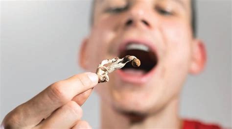 Do You Really Know How To Eat Shrooms Just Cannabis Updated 2021