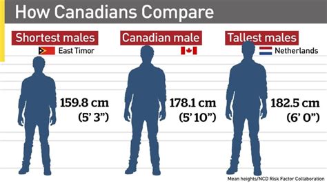 To convert 5 ft and 11 in to cm you have to multiply the number of feet by 30.48 and add it to number of inches multiplied by 2.54. Canadians still getting taller, but not as fast as others ...