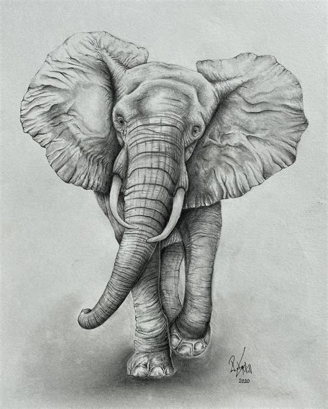 Elephant Pencil Drawing Print Black And White Artwork Collection Home