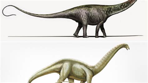The Brontosaurus Returns As Scientists Claim The Long Necked Dinosaur