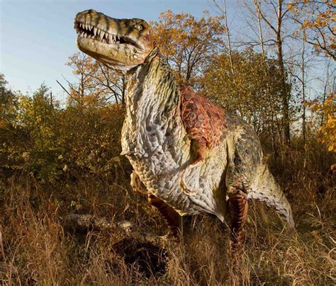 Realistic Dinosaur Widescreen Wallpapers 13623