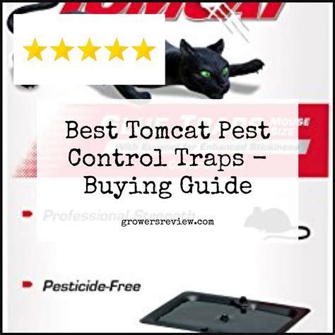Best Tomcat Pest Control Traps Buying Guide And Review