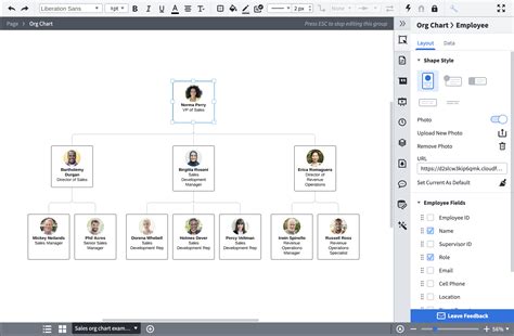 Org Chart Examples And Templates Lucidchart Images And Photos Finder