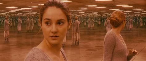 The movie's setup is perfect for a continuation. Divergent (2014) 1080p BluRay Dual Audio [Hindi-English ...