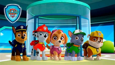Paw Patrol Academy Games Online Youtube